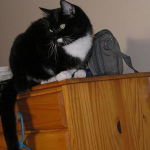 Meet your Posher, Allison